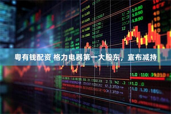 粤有钱配资 格力电器第一大股东，宣布减持