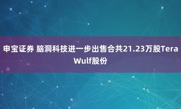 申宝证券 脑洞科技进一步出售合共21.23万股TeraWulf股份