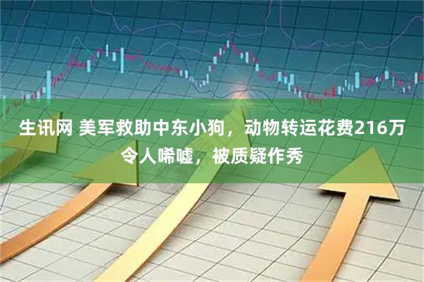 生讯网 美军救助中东小狗，动物转运花费216万令人唏嘘，被质疑作秀