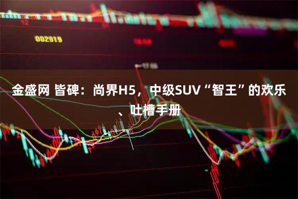 金盛网 皆碑：尚界H5，中级SUV“智王”的欢乐、吐槽手册