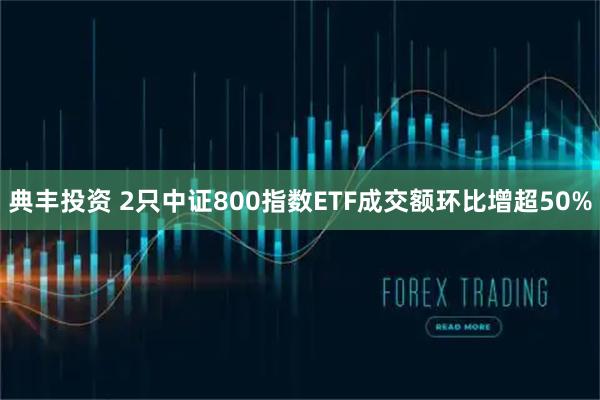 典丰投资 2只中证800指数ETF成交额环比增超50%