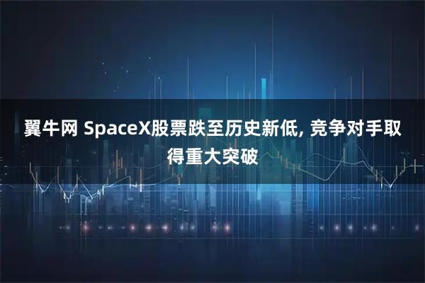 翼牛网 SpaceX股票跌至历史新低, 竞争对手取得重大突破