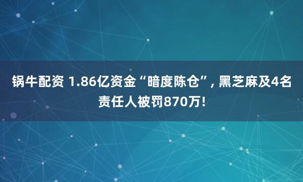 锅牛配资 1.86亿资金“暗度陈仓”, 黑芝麻及4名责任人被罚870万!