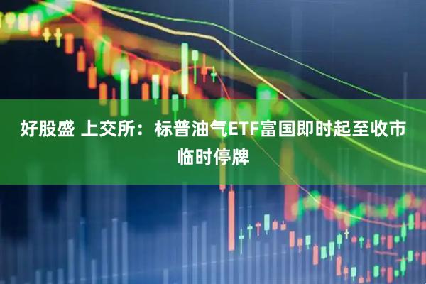 好股盛 上交所：标普油气ETF富国即时起至收市临时停牌