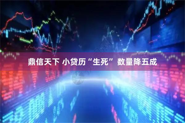 鼎信天下 小贷历“生死” 数量降五成