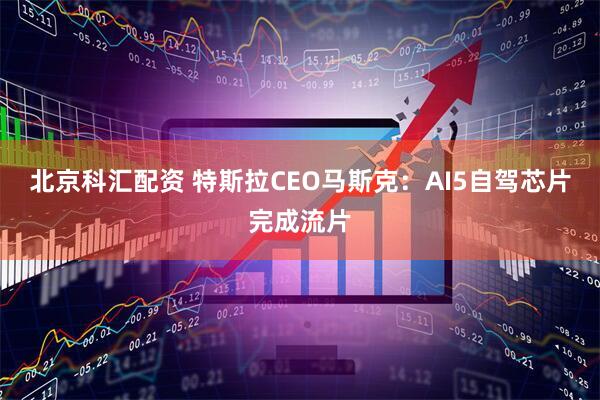 北京科汇配资 特斯拉CEO马斯克:AI5自驾芯片完成流片