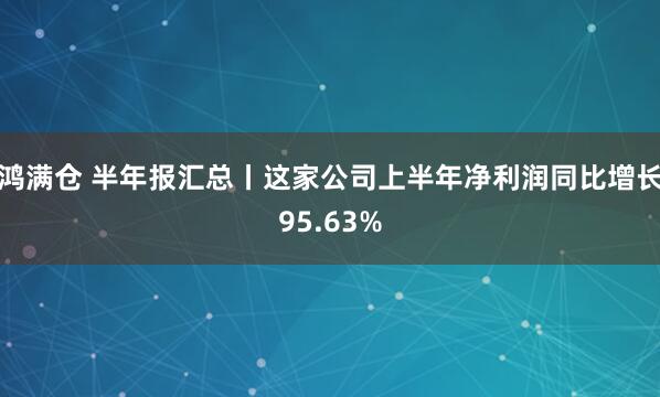 鸿满仓 半年报汇总丨这家公司上半年净利润同比增长95.63%