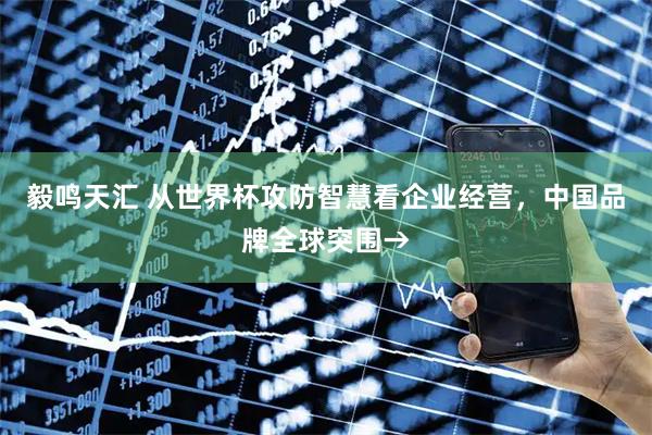 毅鸣天汇 从世界杯攻防智慧看企业经营，中国品牌全球突围→