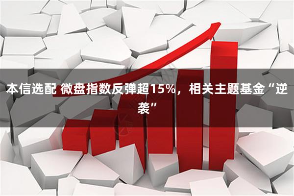 本信选配 微盘指数反弹超15%，相关主题基金“逆袭”